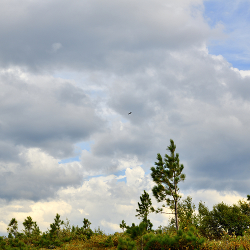Photo #13794767