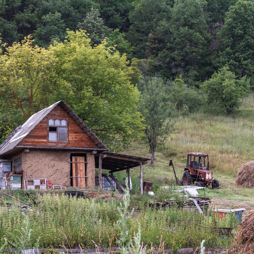 Photo #13794782