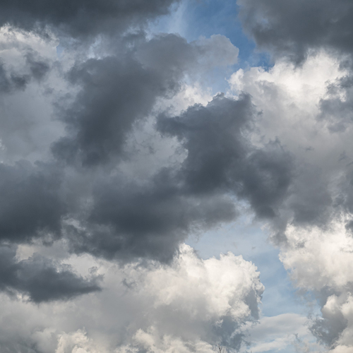 Photo #13794813
