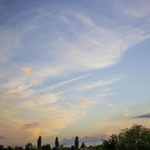 Photo #13794823