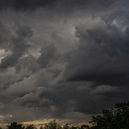 Photo #13794842