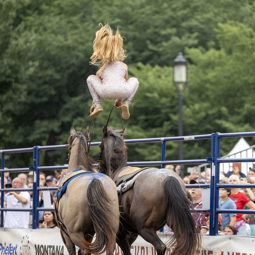 Photo #13794878