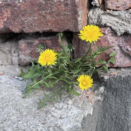 Photo #13794885