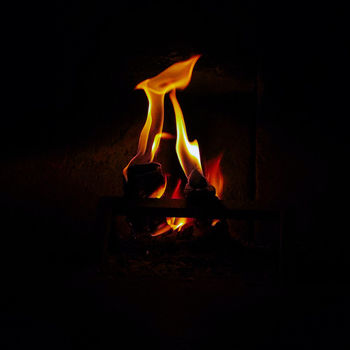 Photo #13794935
