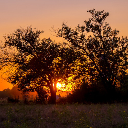 Photo #13794954