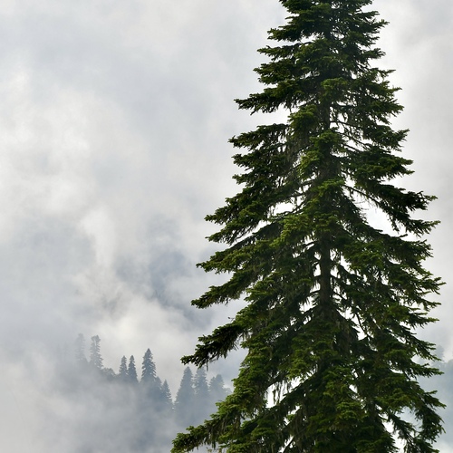 Photo #13795076