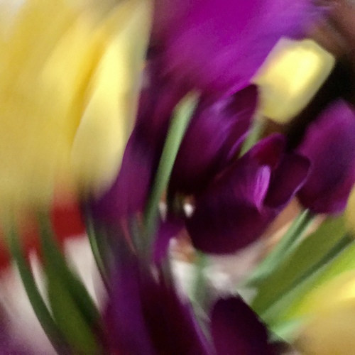 Photo #13795252