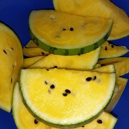 Photo #13795650