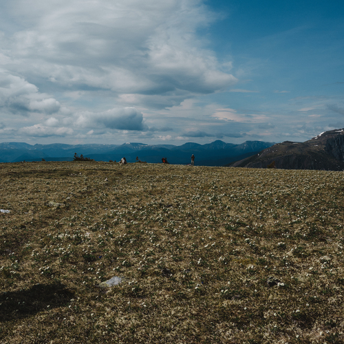 Photo #13795686