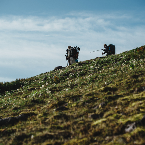 Photo #13795692