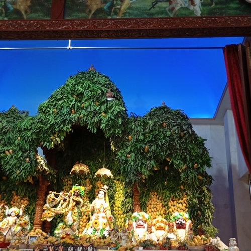 Golden mangoes and yellow offerings in temple.