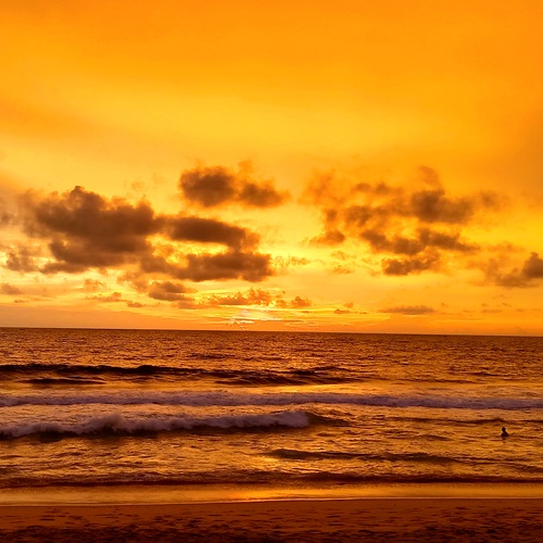 Photo #13795745