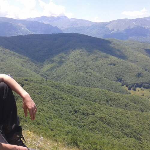 Photo #13795877