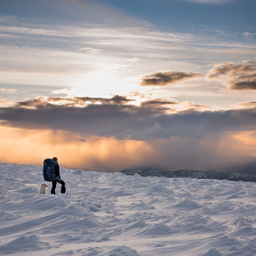 Photo #13795983