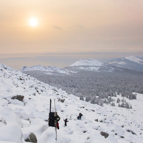 Photo #13795984