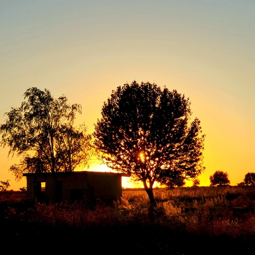 Photo #13796192