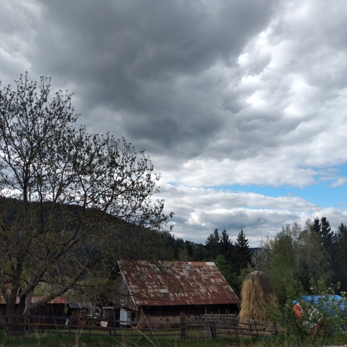 Photo #13796209