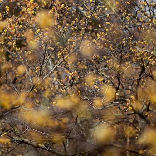Photo #13796357