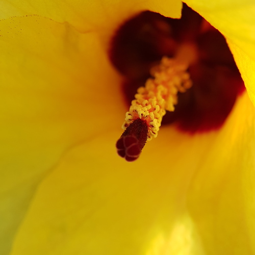 Photo #13796442