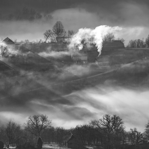 Photo #13796529