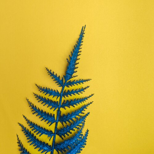 Photo #13796556