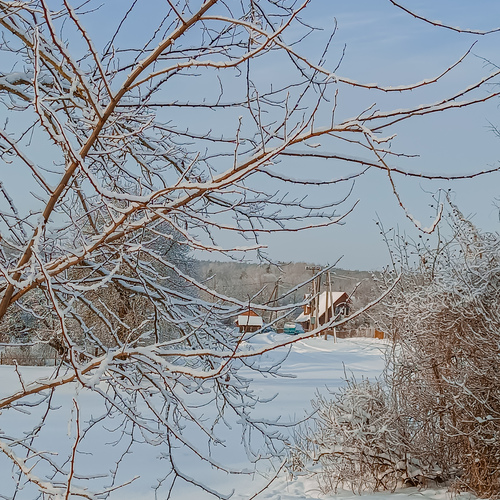 Photo #13796610