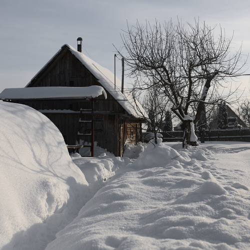 Photo #13796668
