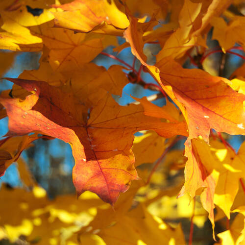 Photo #13796868