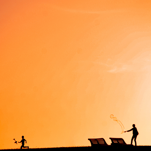 Photo #13796920