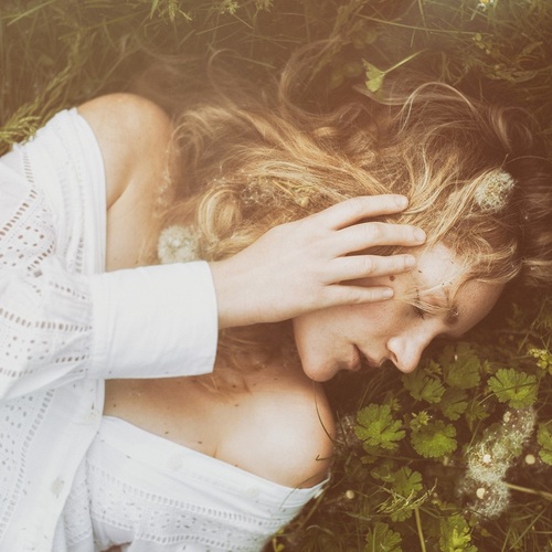 Photo #13796965