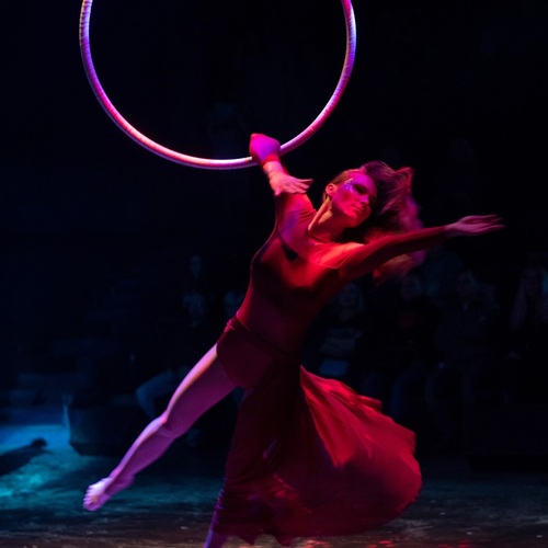 Photo #13796984