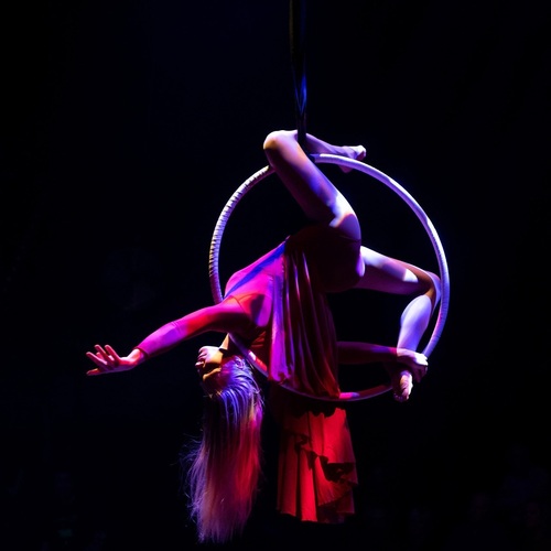 Photo #13796985