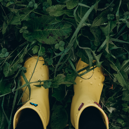Photo #13796994