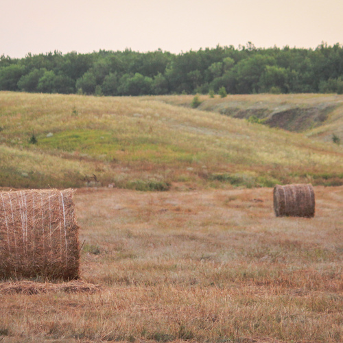 Photo #13797007