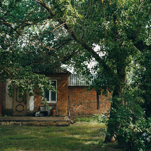 Photo #13797028