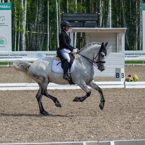 Photo #13797152