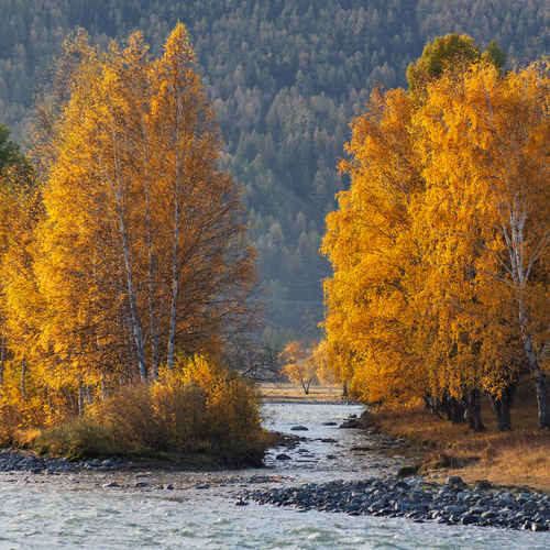 Photo #13797273