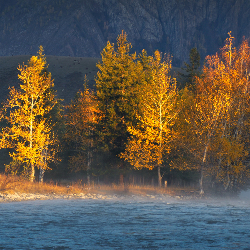 Photo #13797275