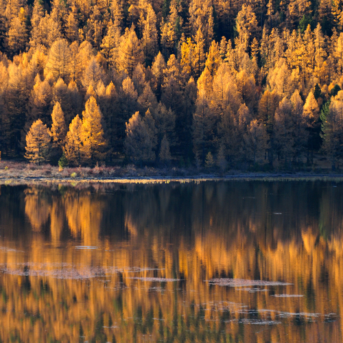 Photo #13797281