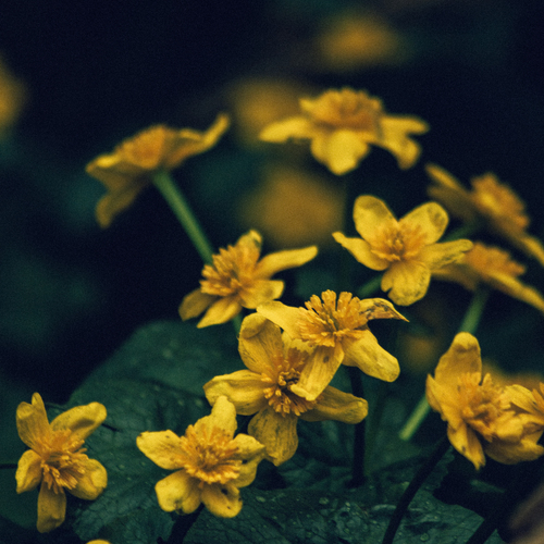Photo #13797312