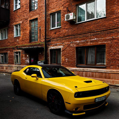 Photo #13797326