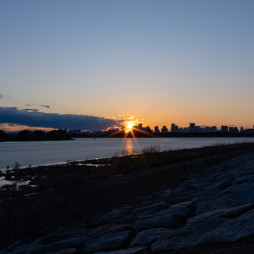Photo #13797329