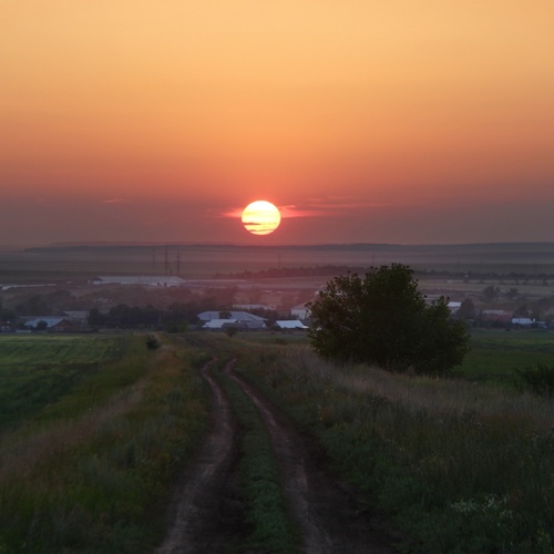 Photo #13797363