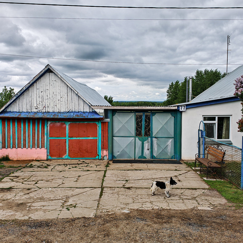 Photo #13797365