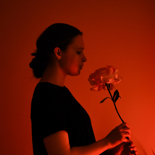 Photo #13797411