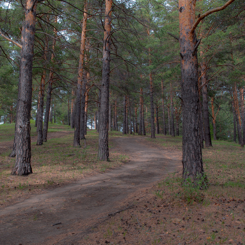 Photo #13797474