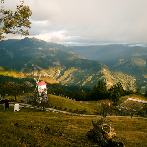 Photo #13797500