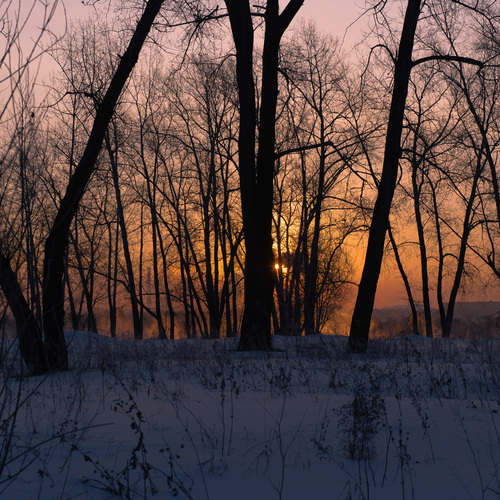 Photo #13797541