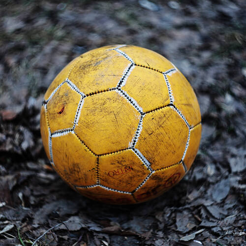 Photo #13797576