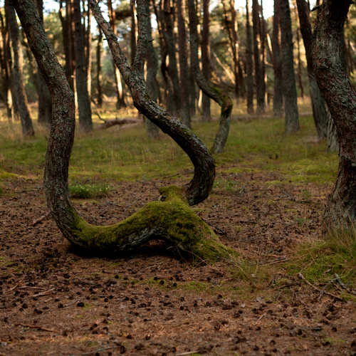 Photo #13797650